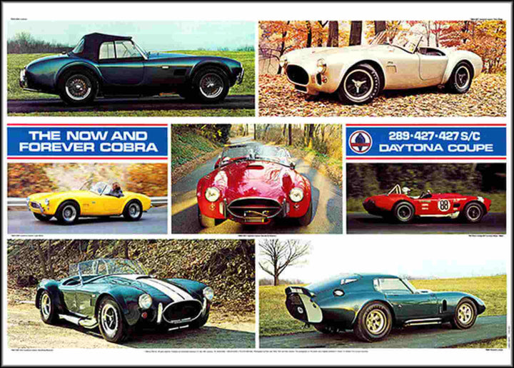 AC Cobra Poster, Poster-Motiv
