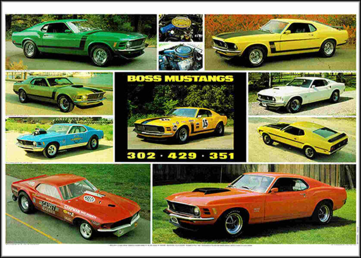 Ford Boss Mustang 302 351 429 Poster, Poster-Motiv
