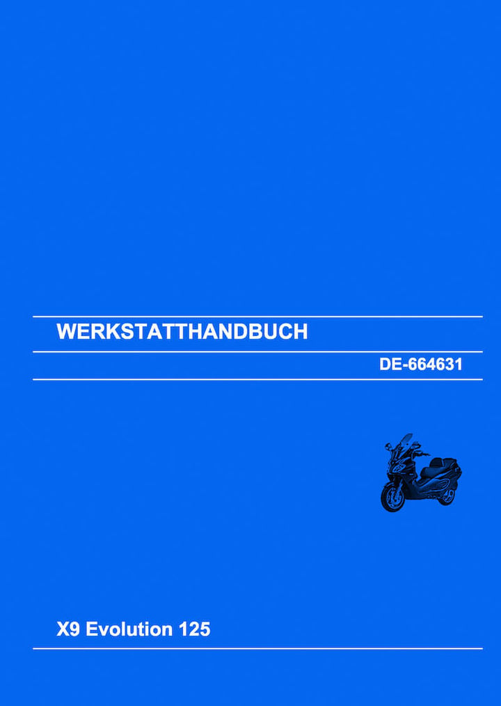 Piaggio Vespa X9 Evolution 125 Werkstatthandbuch, Buchcover