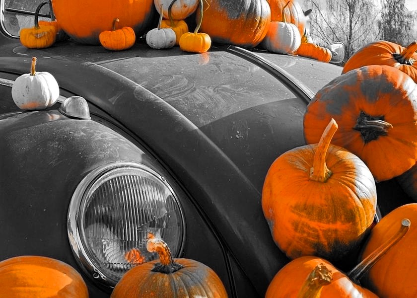 Oldtimer in Schwarz-Weiss mit orangen Halloween-Kürbissen auf der Motorhaube